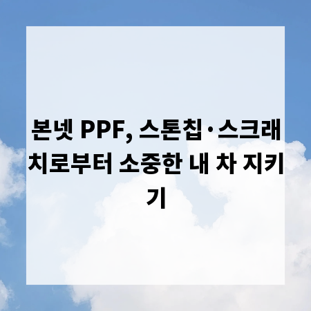 본넷 PPF, 스톤칩·스크래치로부터 소중한 내 차 지키기