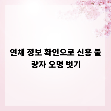 연체 정보 확인으로 신용 불량자 오명 벗기