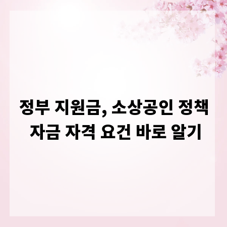정부 지원금, 소상공인 정책 자금 자격 요건 바로 알기