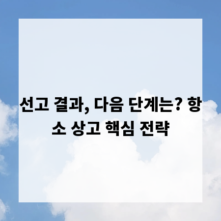 선고 결과, 다음 단계는? 항소 상고 핵심 전략
