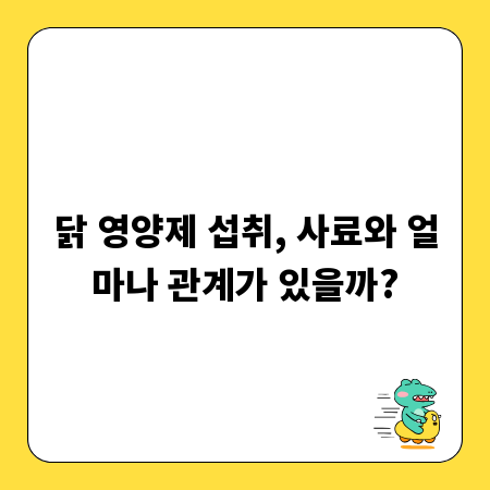 닭 영양제 섭취, 사료와 얼마나 관계가 있을까?