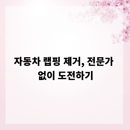 자동차 랩핑 제거, 전문가 없이 도전하기