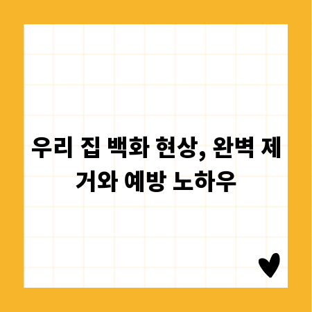 우리 집 백화 현상, 완벽 제거와 예방 노하우