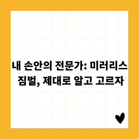 내 손안의 전문가: 미러리스 짐벌, 제대로 알고 고르자