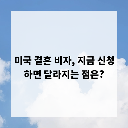 미국 결혼 비자, 지금 신청하면 달라지는 점은?