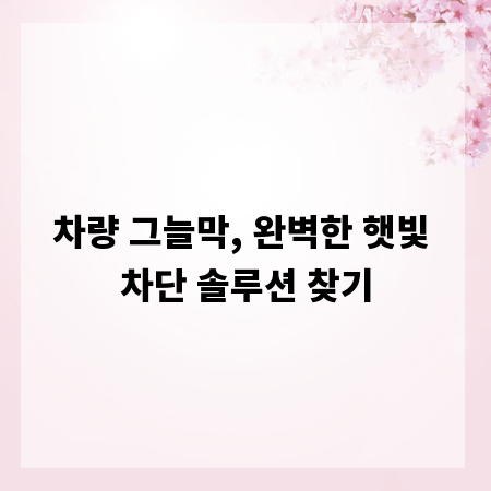 차량 그늘막, 완벽한 햇빛 차단 솔루션 찾기