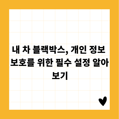 내 차 블랙박스, 개인 정보 보호를 위한 필수 설정 알아보기