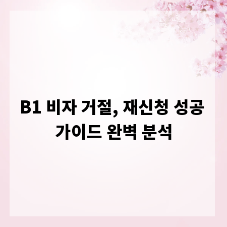 B1 비자 거절, 재신청 성공 가이드 완벽 분석