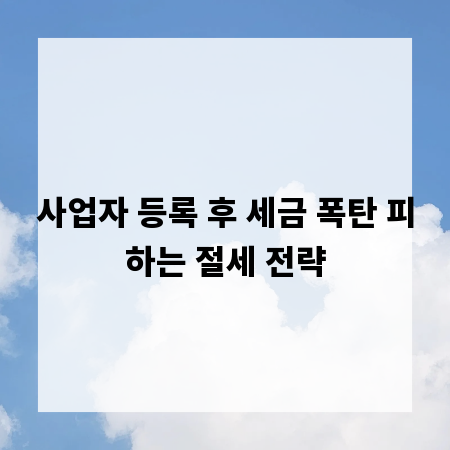 사업자 등록 후 세금 폭탄 피하는 절세 전략