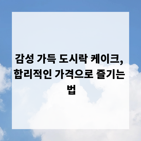 감성 가득 도시락 케이크, 합리적인 가격으로 즐기는 법