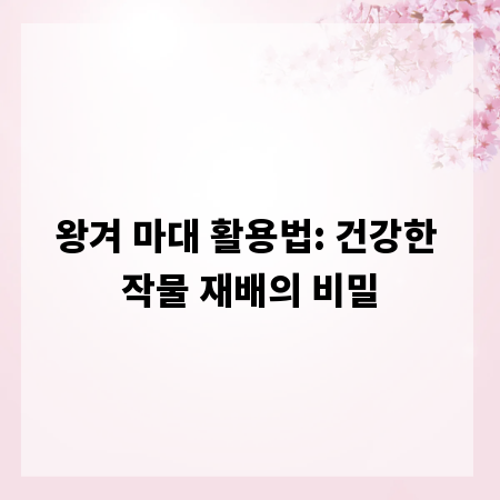 왕겨 마대 활용법: 건강한 작물 재배의 비밀