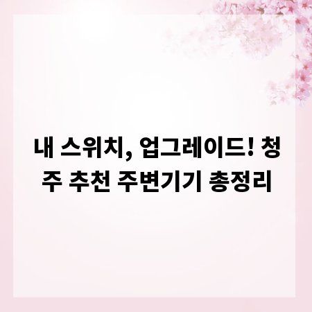 내 스위치, 업그레이드! 청주 추천 주변기기 총정리