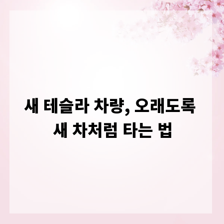 새 테슬라 차량, 오래도록 새 차처럼 타는 법