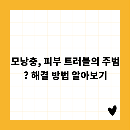 모낭충, 피부 트러블의 주범? 해결 방법 알아보기