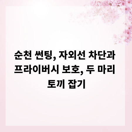 순천 썬팅, 자외선 차단과 프라이버시 보호, 두 마리 토끼 잡기