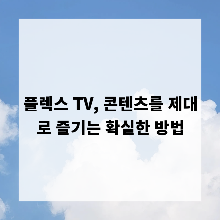 플렉스 TV, 콘텐츠를 제대로 즐기는 확실한 방법
