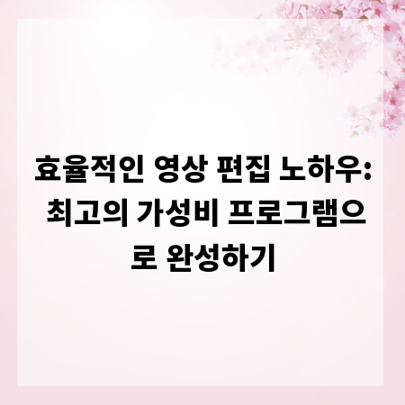 효율적인 영상 편집 노하우: 최고의 가성비 프로그램으로 완성하기
