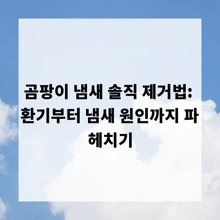 곰팡이 냄새 솔직 제거법: 환기부터 냄새 원인까지 파헤치기