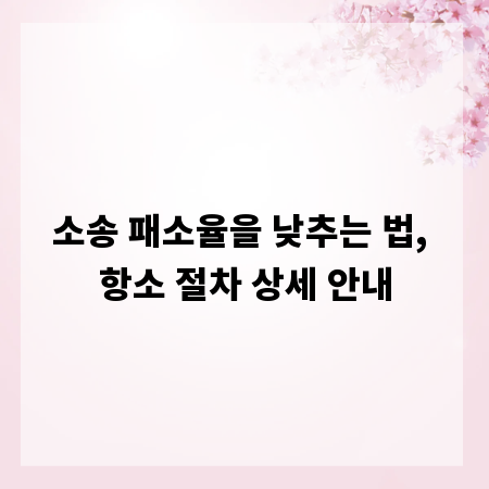 소송 패소율을 낮추는 법, 항소 절차 상세 안내