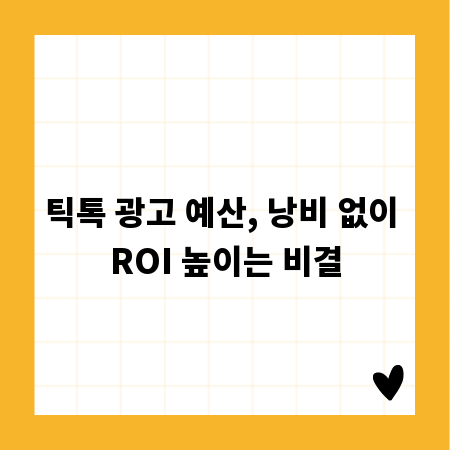틱톡 광고 예산, 낭비 없이 ROI 높이는 비결