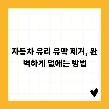 자동차 유리 유막 제거, 완벽하게 없애는 방법