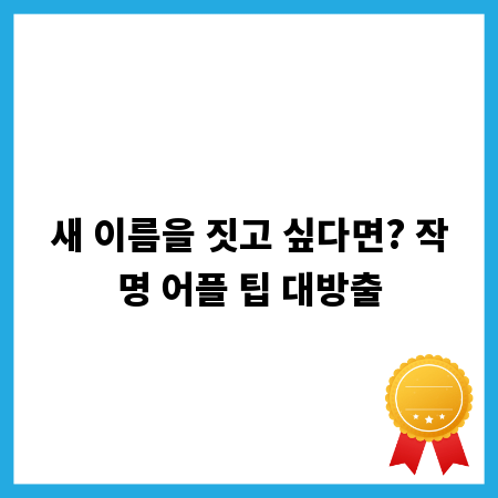 새 이름을 짓고 싶다면? 작명 어플 팁 대방출