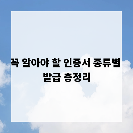 꼭 알아야 할 인증서 종류별 발급 총정리