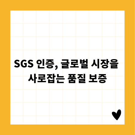 SGS 인증, 글로벌 시장을 사로잡는 품질 보증