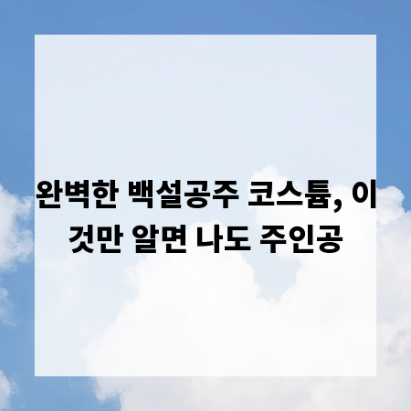완벽한 백설공주 코스튬, 이것만 알면 나도 주인공
