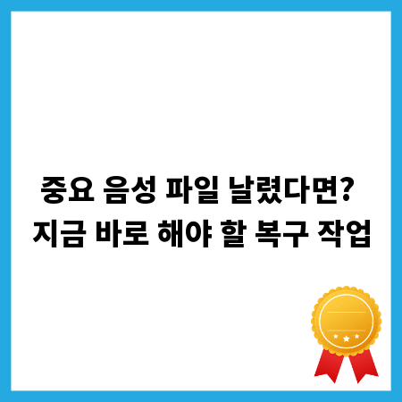 중요 음성 파일 날렸다면? 지금 바로 해야 할 복구 작업