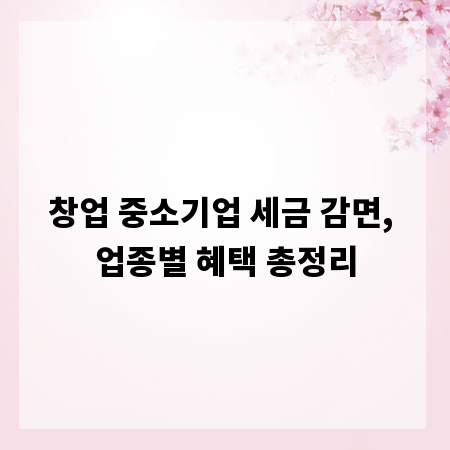 창업 중소기업 세금 감면, 업종별 혜택 총정리