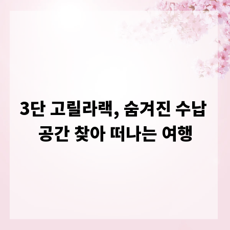 3단 고릴라랙, 숨겨진 수납 공간 찾아 떠나는 여행