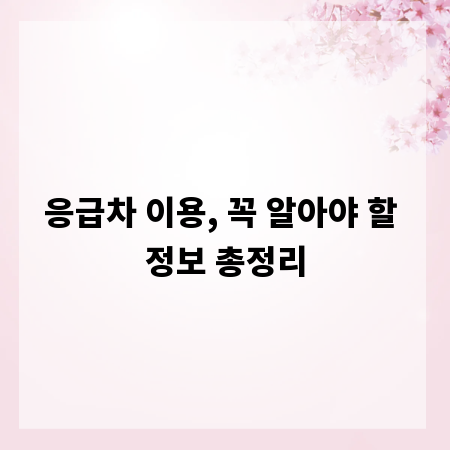 응급차 이용, 꼭 알아야 할 정보 총정리