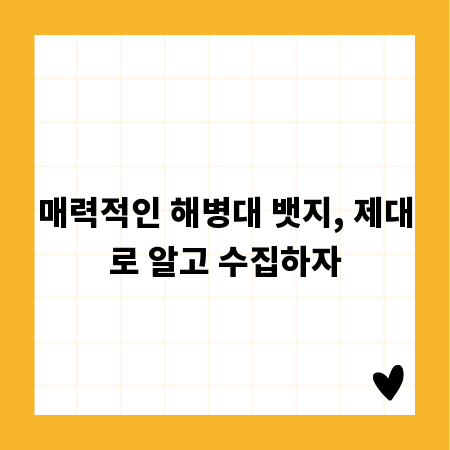 매력적인 해병대 뱃지, 제대로 알고 수집하자