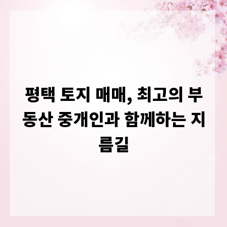 평택 토지 매매, 최고의 부동산 중개인과 함께하는 지름길