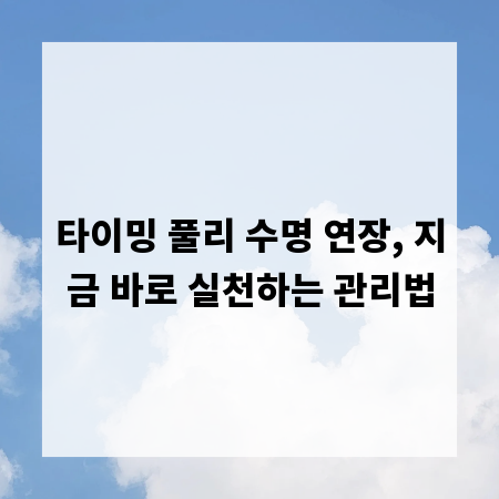 타이밍 풀리 수명 연장, 지금 바로 실천하는 관리법