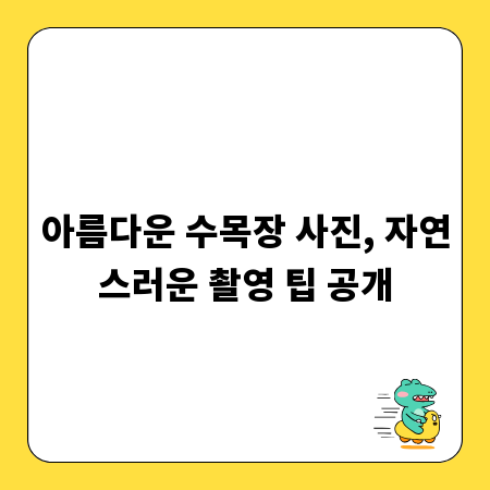 아름다운 수목장 사진, 자연스러운 촬영 팁 공개