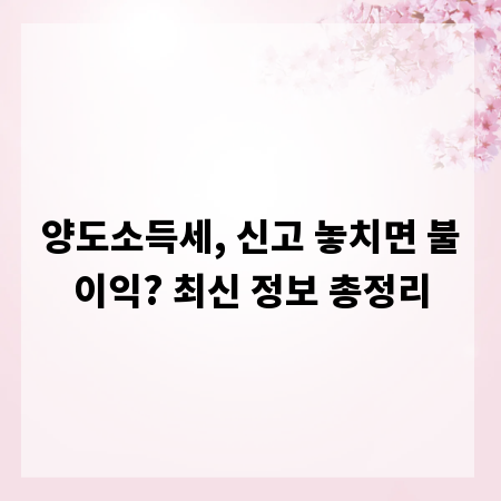 양도소득세, 신고 놓치면 불이익? 최신 정보 총정리