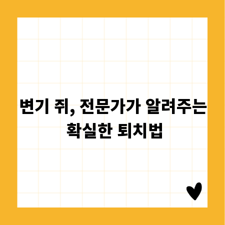 변기 쥐, 전문가가 알려주는 확실한 퇴치법