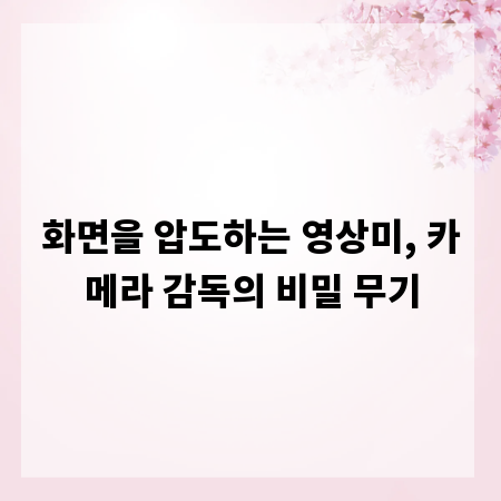 화면을 압도하는 영상미, 카메라 감독의 비밀 무기
