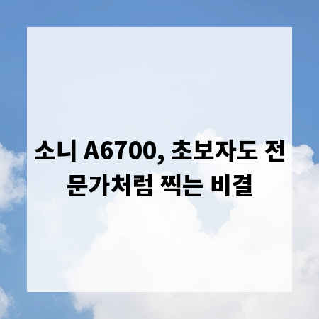 소니 A6700, 초보자도 전문가처럼 찍는 비결