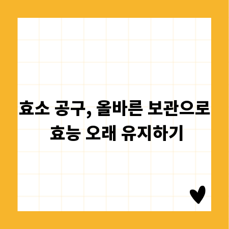 효소 공구, 올바른 보관으로 효능 오래 유지하기