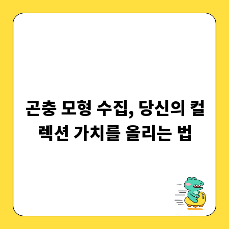 곤충 모형 수집, 당신의 컬렉션 가치를 올리는 법
