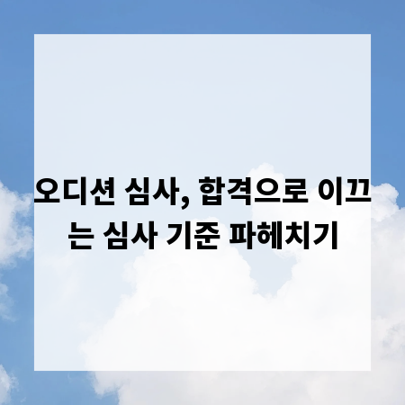오디션 심사, 합격으로 이끄는 심사 기준 파헤치기
