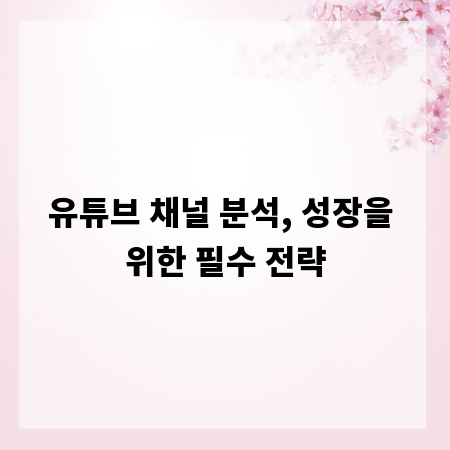 유튜브 채널 분석, 성장을 위한 필수 전략