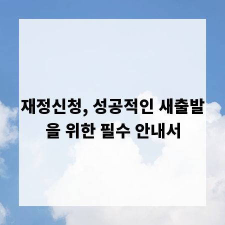 재정신청, 성공적인 새출발을 위한 필수 안내서