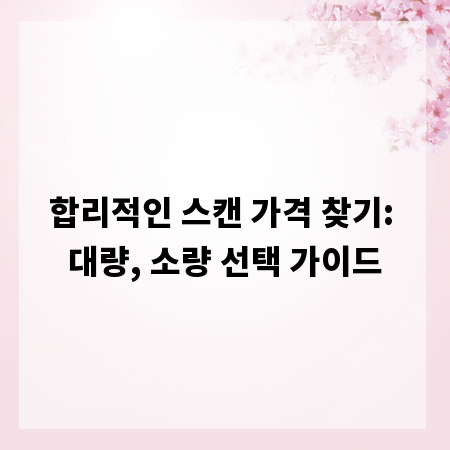 합리적인 스캔 가격 찾기: 대량, 소량 선택 가이드