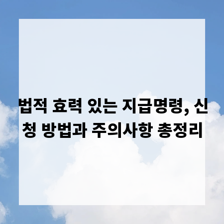 법적 효력 있는 지급명령, 신청 방법과 주의사항 총정리