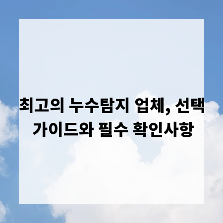 최고의 누수탐지 업체, 선택 가이드와 필수 확인사항