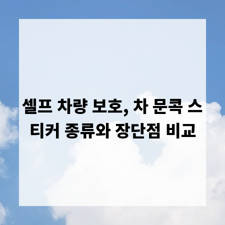셀프 차량 보호, 차 문콕 스티커 종류와 장단점 비교